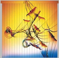 Жалюзи с фотопечатью